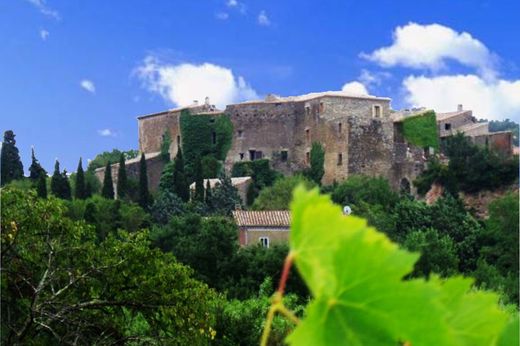 Château Lo Tinalier, saint pierre des champs 11220