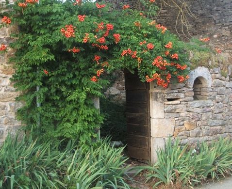 Gîte ou maison Maison quercynoise en Aveyron, villefranche de rouergue 12200