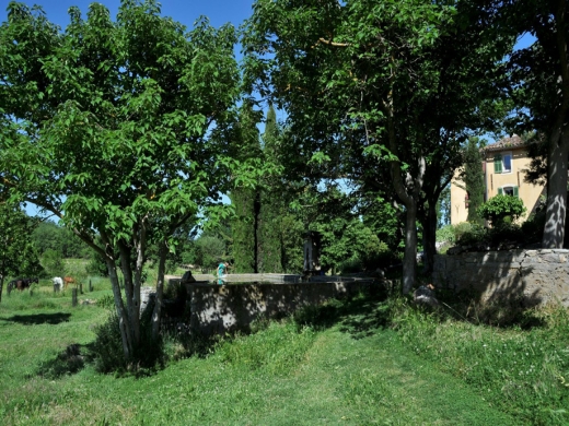 Location Une campagne en Provence  (Voyage – Maison d’hôtes) bras 83149