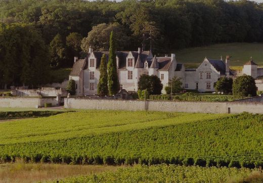 Location Chateau de La Vauguyon chinon 37500