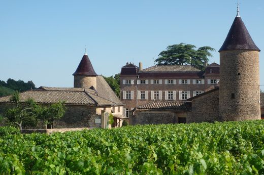 Gîte ou maison Chateau de Chasselas, chasselas 71570