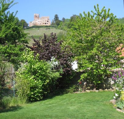 Gîte ou maison Les Gîtes du Relais des Vignes, kintzheim 67600