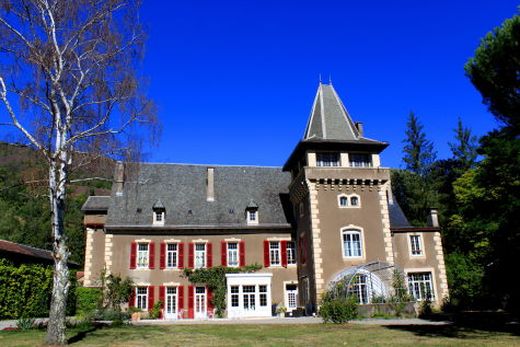 Château Château de Viviez, viviez 12110