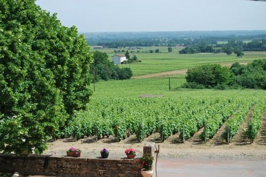 Gîte ou maison Domaine Geoffray, belleville 69220